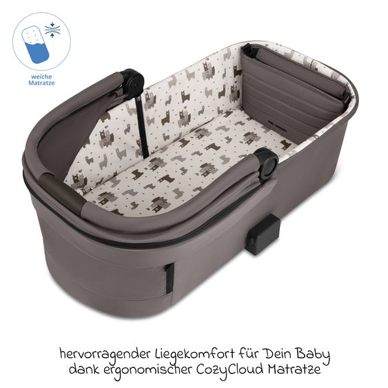 ABC Design 12-pcs Combi Stroller Set Salsa 5 Air Starter Set with Carrycot, Sports Seat, Adapter, Urban Changing Bag, Footmuff, Muslin Cloths, Magnet Clip, Blanket, Rain Cover & Mosquito Net - Marron