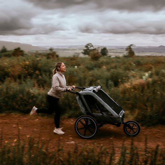 ABC Design 3in1 Fahrradanhänger und Kinderwagen Tour für 2 Kinder mit Jogger-Luftrad, Bremssystem, Komfortsitze, Verdeck mit Moskitonetz, Regenschutz & Sonnenschutz (bis 49 kg) - Olive