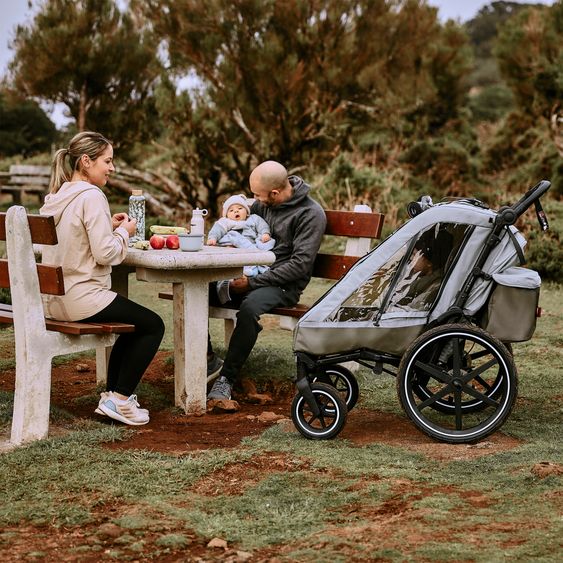 ABC Design 3in1 Fahrradanhänger und Kinderwagen Tour für 2 Kinder mit Jogger-Luftrad, Bremssystem, Komfortsitze, Verdeck mit Moskitonetz, Regenschutz & Sonnenschutz (bis 49 kg) - Olive