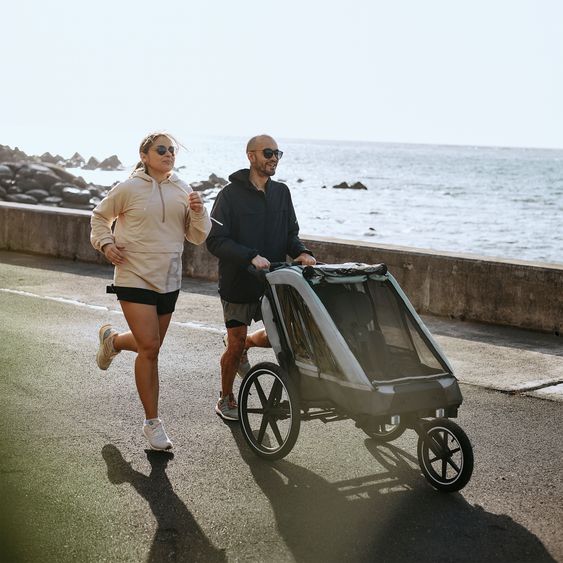 ABC Design 3in1 Fahrradanhänger und Kinderwagen Tour für 2 Kinder mit Jogger-Luftrad, Bremssystem, Komfortsitze, Verdeck mit Moskitonetz, Regenschutz & Sonnenschutz (bis 49 kg) - Olive