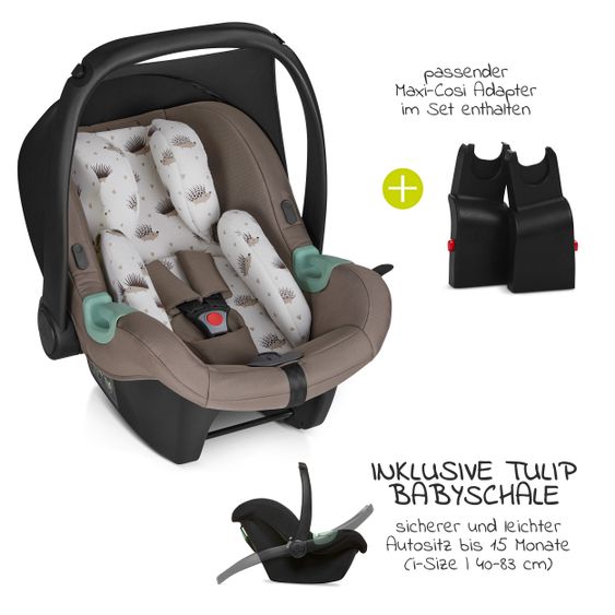 ABC Design 3in1 Kinderwagen-Set Salsa 4 Air - Fashion Edition Starter Set 13-teilig - Cream - inkl. Autositz Tulip & Zubehörpaket