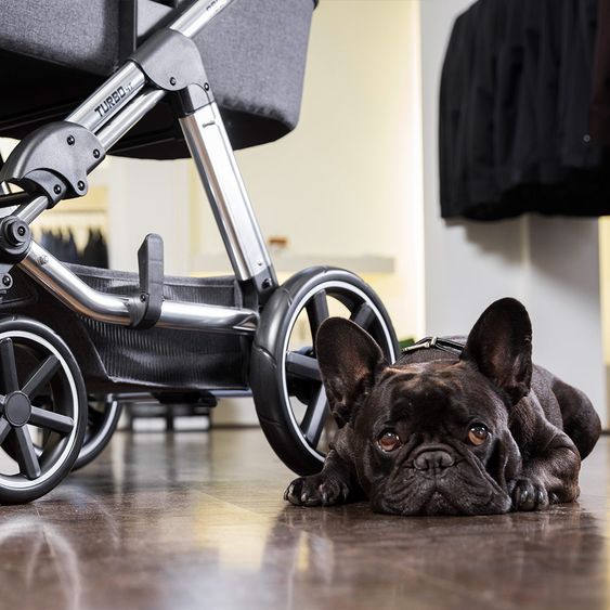ABC Design Set di passeggini 3in1 Turbo 4 T - Diamond Special Edition - inclusi navicella, marsupio e pacchetto accessori - Asfalto