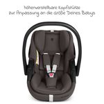 Product Image-10