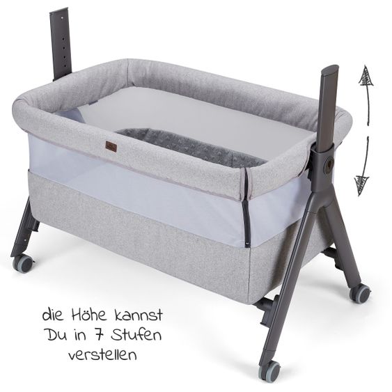 ABC Design Beistellbett und Stubenwagen Sari - inkl. Matratze und Zubehör - Heart