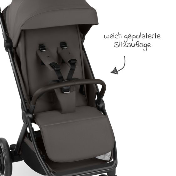 ABC Design Passeggino Leggero & Sportivo Avus 3 fino a 22 kg caricabile con piegatura a una mano & posizione sdraiata incl. pacchetto di protezione - Noce