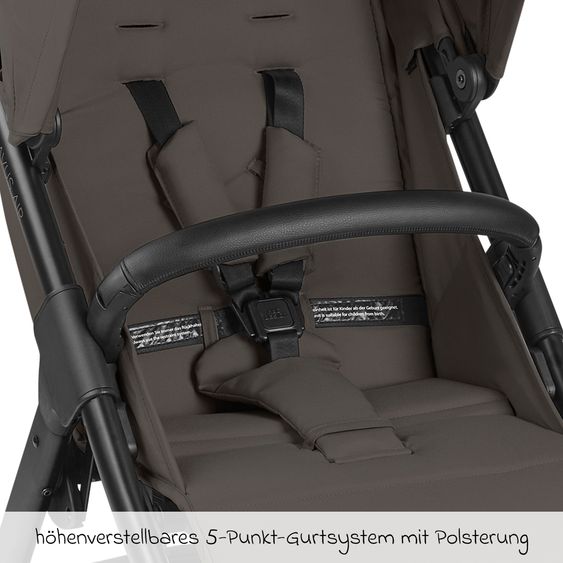 ABC Design Buggy & Sportwagen Avus Air mit Lufträdern - Einhand-Faltung und höhenverstellbarem Schieber (bis 25 kg belastbar) - Cloud