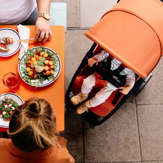 ABC Design Buggy & Sportwagen Avus mit Einhand-Faltung und höhenverstellbarem Schieber (bis 25 kg belastbar) - Carrot