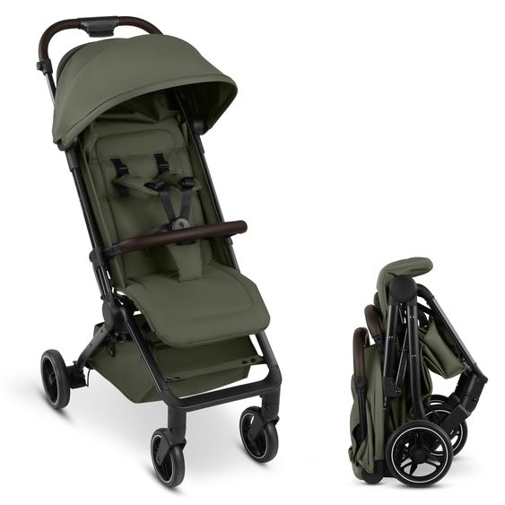 ABC Design Buggy & Sportwagen Ping 4 Trekking bis 22 kg belastbar  mit  Liegeposition - Pea