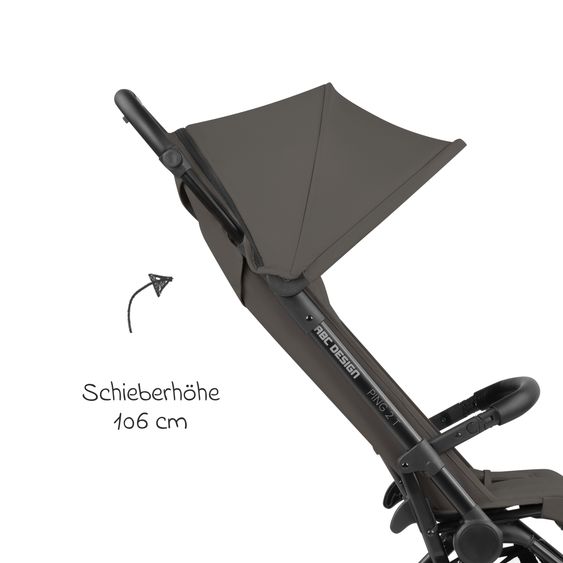 ABC Design Buggy & Sportwagen Ping Two Trekking mit flacher Liegeposition, Transporttasche und Tragegurt - Cloud