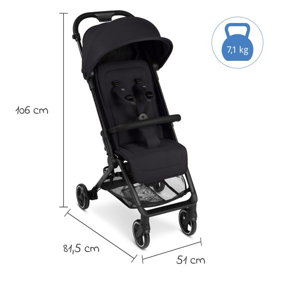 ABC Design Buggy & Sportwagen Ping Two Trekking mit flacher Liegeposition, Transporttasche und Tragegurt - Cloud