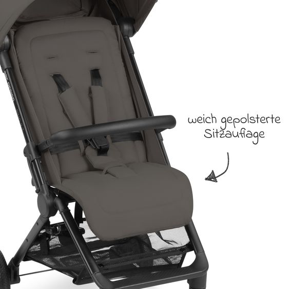 ABC Design Buggy & Sportwagen Ping Two Trekking mit flacher Liegeposition, Transporttasche und Tragegurt - Cloud