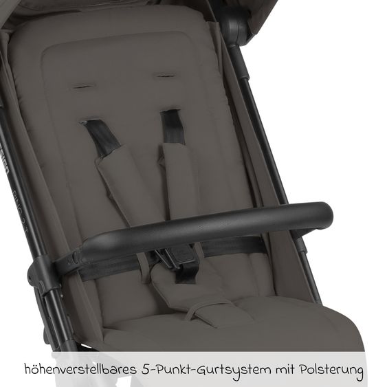 ABC Design Buggy & Sportwagen Ping Two Trekking mit flacher Liegeposition, Transporttasche und Tragegurt - Cloud