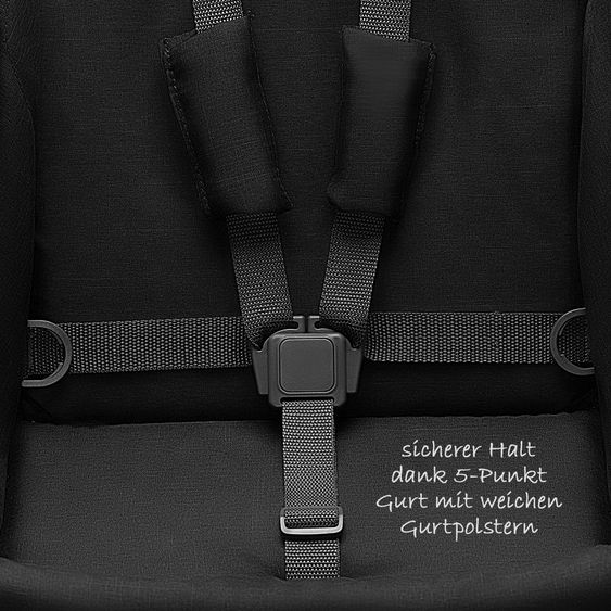 ABC Design Buggy Treviso 3 - Woven Black (Circle-Line)