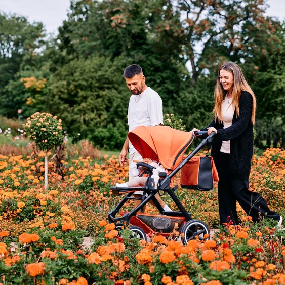 ABC Design Passeggino Samba - incluso navicella e seggiolino sportivo con pacchetto accessori XXL - Carota