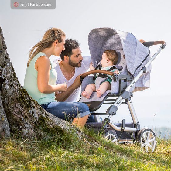 ABC Design Kombi-Kinderwagen Tereno 4 - Mountain