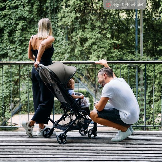 ABC Design Reisebuggy Ping Two mit flacher Liegeposition (bis 22 kg) - Tin
