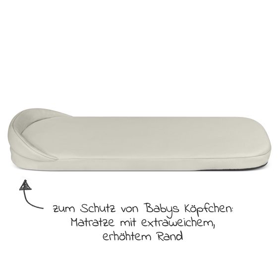 ABC Design Tragewanne für Neugeborene - passend für Zoom, Samba und Salsa 3 Run - Aloe