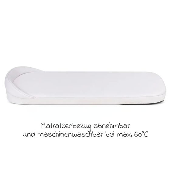 ABC Design Tragewanne für Neugeborene - passend für Zoom, Samba und Salsa Run - Pure - Camel