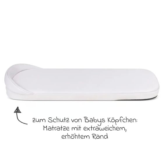 ABC Design Tragewanne für Neugeborene - passend für Zoom, Samba und Salsa Run - Pure - Camel