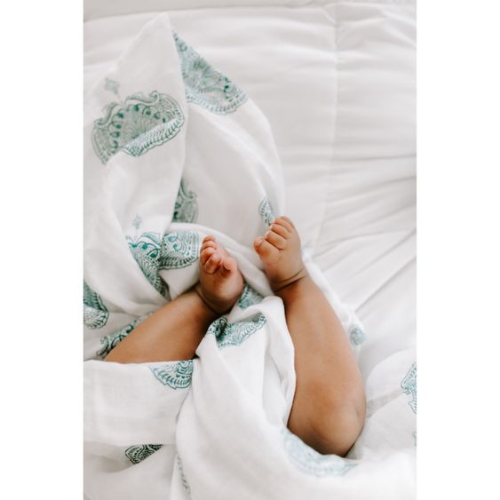 aden + anais 4er Pack Classic Swaddles Mullwindel 120 x 120 cm - Paisley Teal - Weiß Petrol