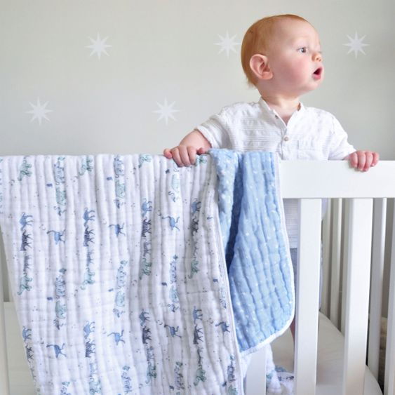 aden + anais Snuggle blanket gauze 4-ply 120 x 120 cm - Rising Star