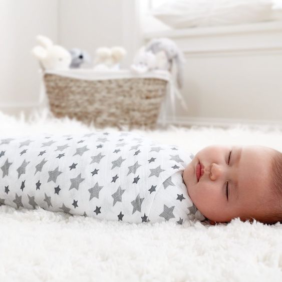 aden + anais Mulltuch 2er Pack Swaddles 120 x 120 cm - Twinkle