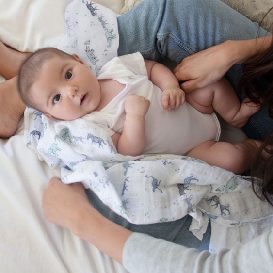 aden + anais Mullwindel / Mulltuch / Pucktuch - Classic Swaddles - 4er Pack - 120 x 120 cm - Rising Star