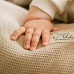 Immagine prodotto-6