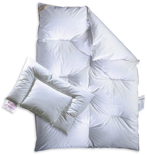 Aro Artländer Quilt bed set feathers 100 x 135 cm + 40 x 60 cm