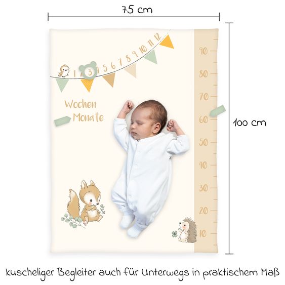 Baby Best Accogliente coperta con pietre miliari 75 x 100 cm - Amici della foresta