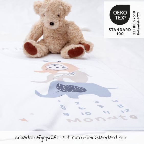 Baby Best Kuscheldecke mit Meilensteinen 75 x100 cm - Elephants
