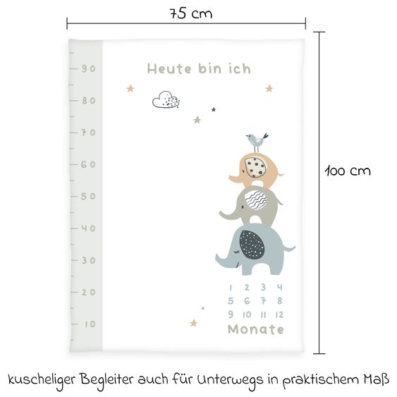 Baby Best Kuscheldecke mit Meilensteinen 75 x100 cm - Elephants