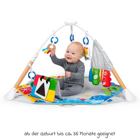 Baby Einstein 4in1 Play Mat with Play Arch Be Discovery with 4 Playmosi, 9 Toys Supports Child Development - Colourful