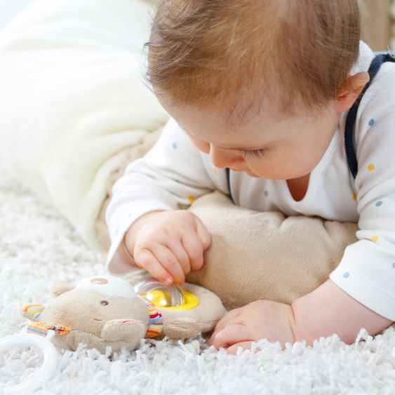 Fehn 3D Activity Nest Teddy - Rainbow