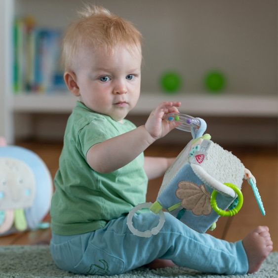 Fehn Cubo attività Polpo - Bambini del mare