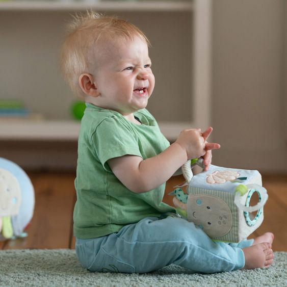 Fehn Cubo attività Polpo - Bambini del mare