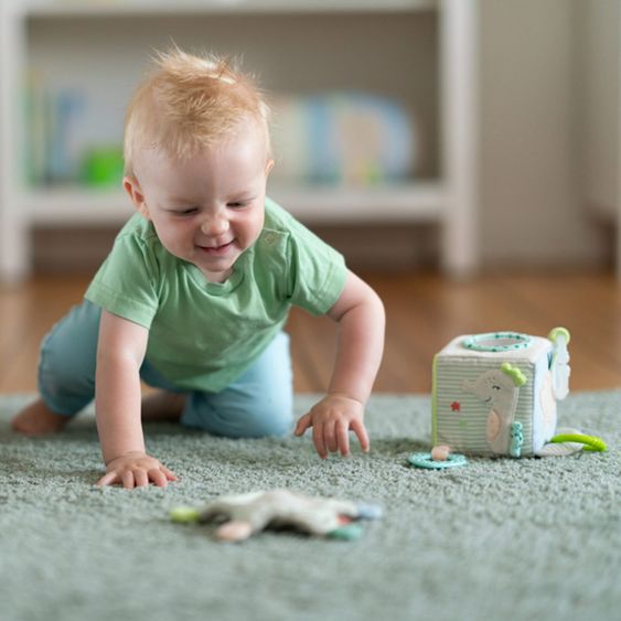 Fehn Cubo attività Polpo - Bambini del mare