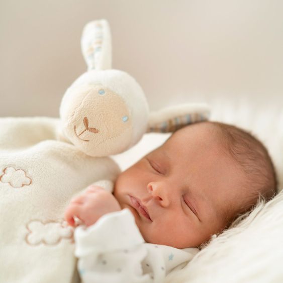 Fehn Schmusetuch Deluxe Schaf - Baby Love