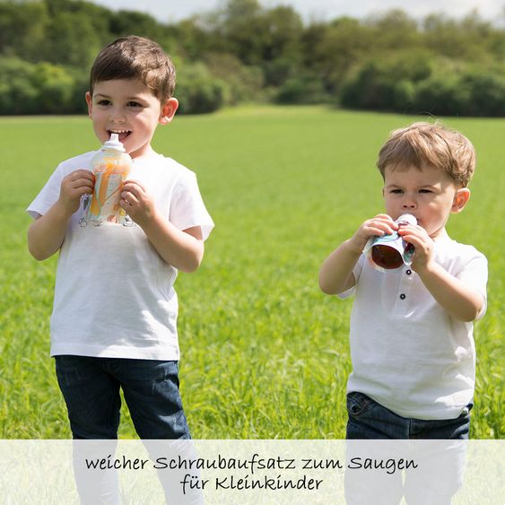 Babymoov Starter-Set Quetschbeutel Foodii - zum Füttern von Babybrei