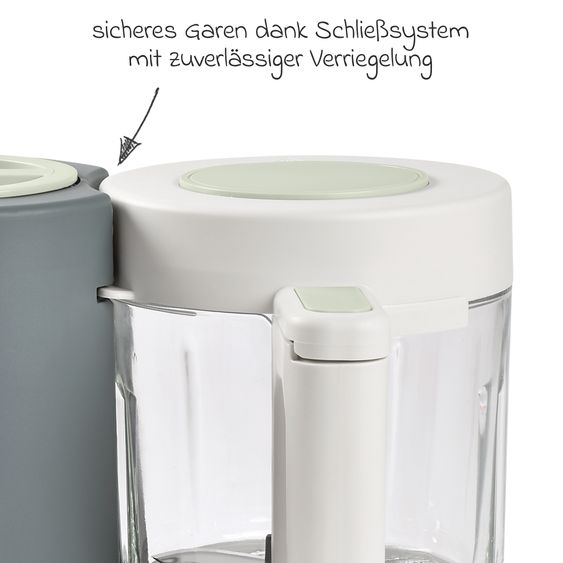 Beaba Babynahrungszubereiter Babycook Neo - Mineral Grey