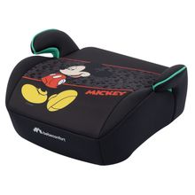 Authentic Mickey