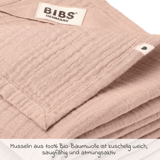 Bibs 6-tlg. Geschenk-Set Schnuller Probierset Try-it Collection 0-6 M + 2 Mulltücher - Blush