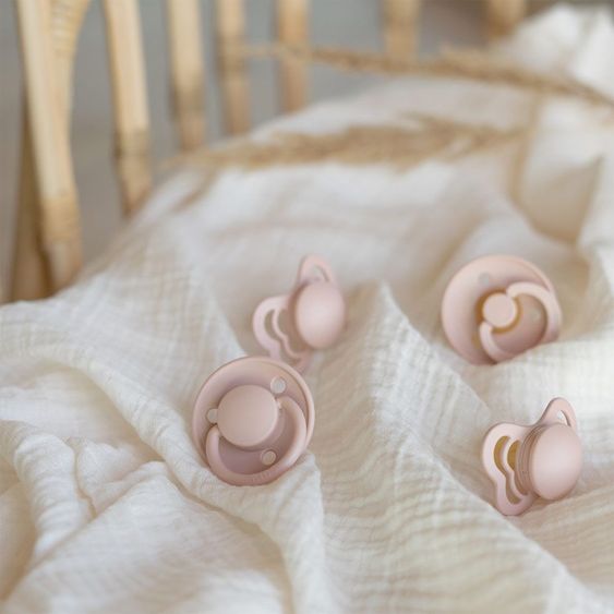 Bibs 6-tlg. Geschenk-Set Schnuller Probierset Try-it Collection 0-6 M + 2 Mulltücher - Blush
