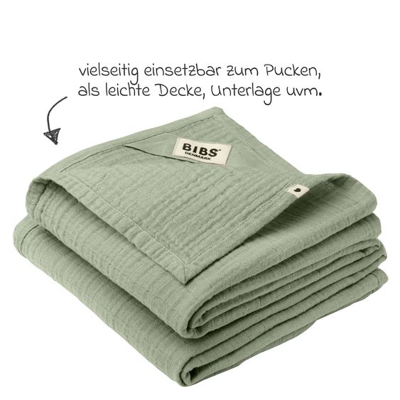 Bibs 6-tlg. Geschenk-Set Schnuller Probierset Try-it Collection 0-6 M + 2 Mulltücher - Sage