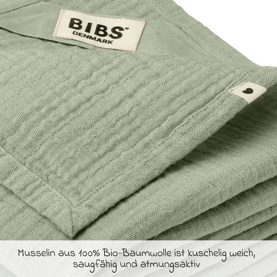 Bibs 6-tlg. Geschenk-Set Schnuller Probierset Try-it Collection 0-6 M + 2 Mulltücher - Sage