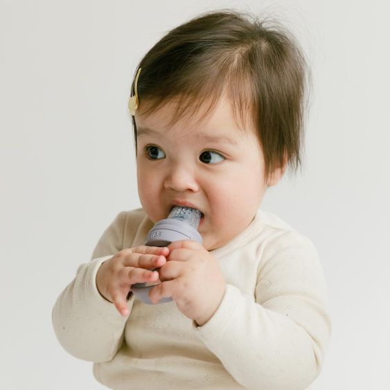 Bibs fruit pacifier Baby Feeder with 2x Silicone Spouts - Fossil Grey