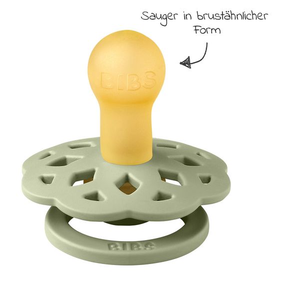 Bibs Schnuller 2er Pack Boheme - Naturkautschuk 6-18 M - Sage / Cloud