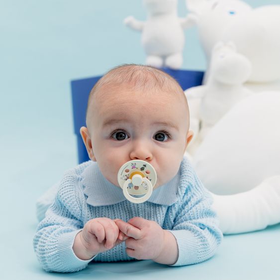 Bibs Succhietto 2er Pack Colore - Moomin Friends - Avorio / Salvia - Gr. 0-6 M