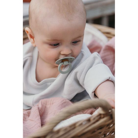 Bibs Schnuller - Colour 2er Pack - Haze / Blossom - Gr. 6-18 M