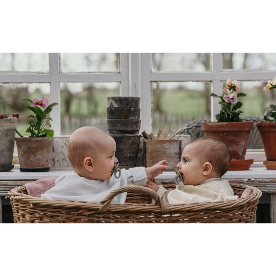 Bibs Schnuller - Colour 2er Pack - Haze / Blossom - Gr. 6-18 M